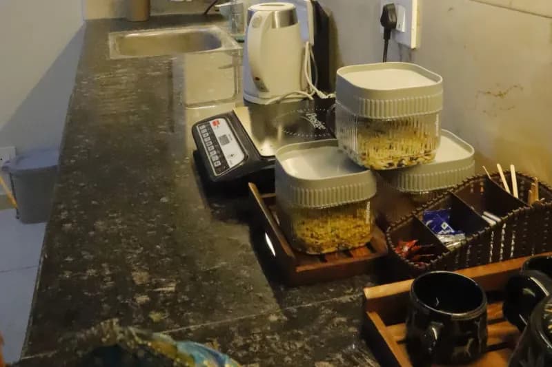 Krishna’s corner | near Chandrodaya | Vrindavan